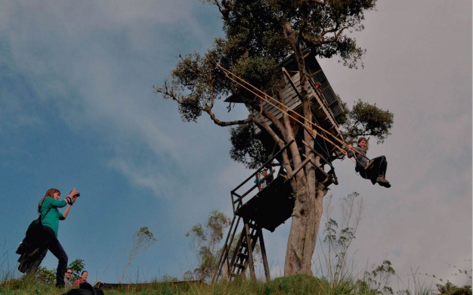 Photo Tree House and the Swing of the End of the World
