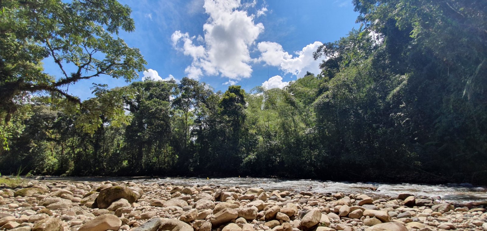 Sendero Ecológico del Río Alpayaku en Mera Pastaza
